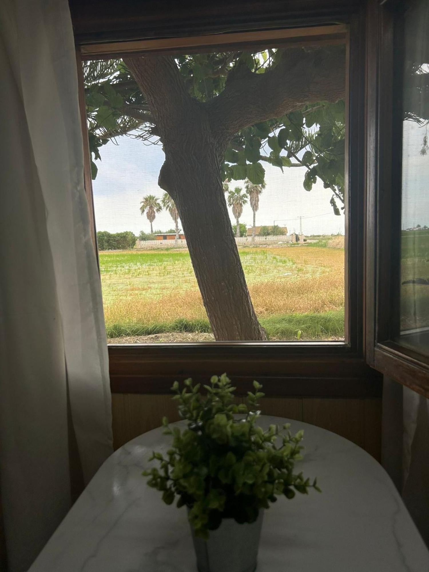 Camping Delta Natura La Tancada Amposta Zewnętrze zdjęcie